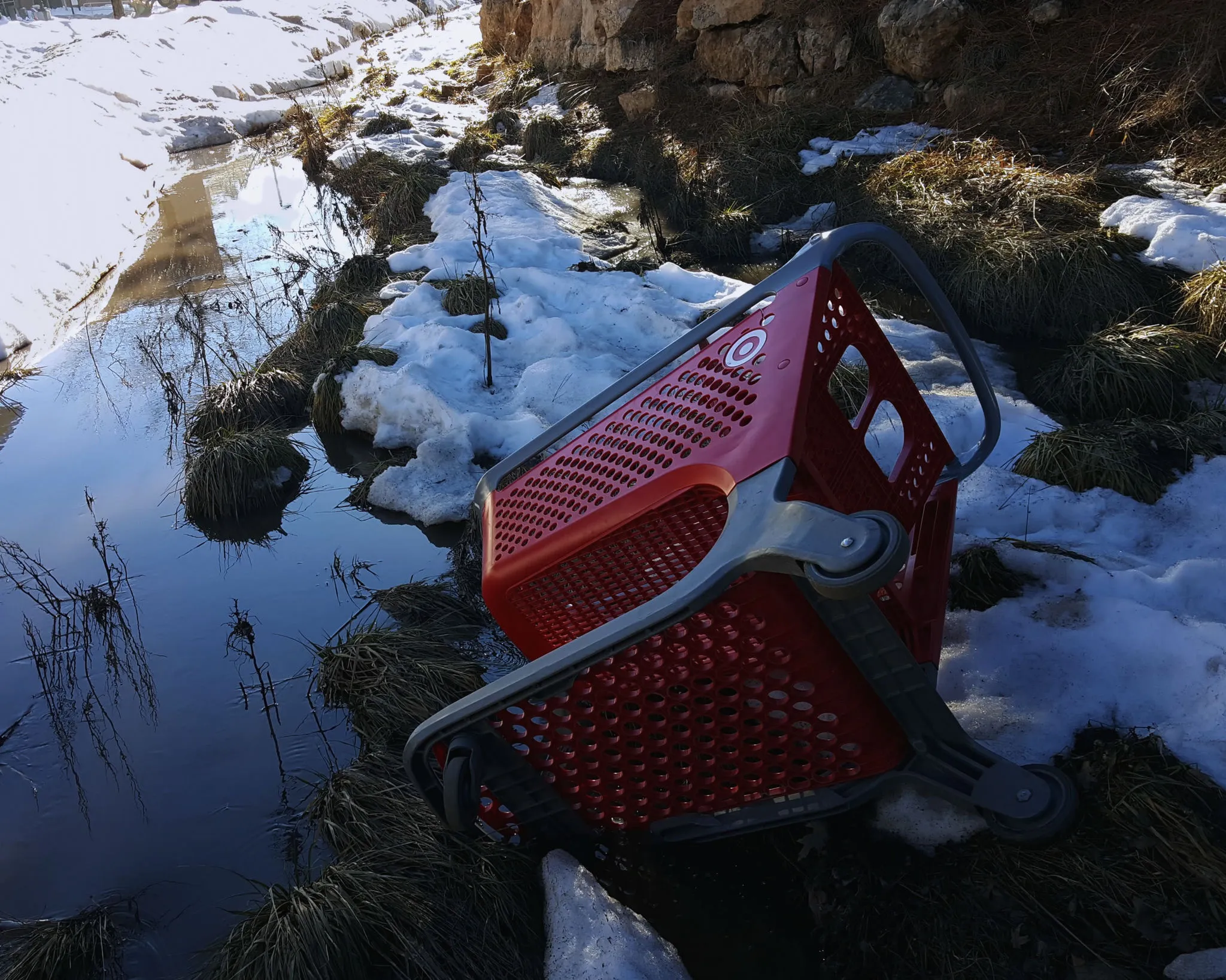 A lone Target shopping cart abandoned somewhere it does not belong, Flagstaff.